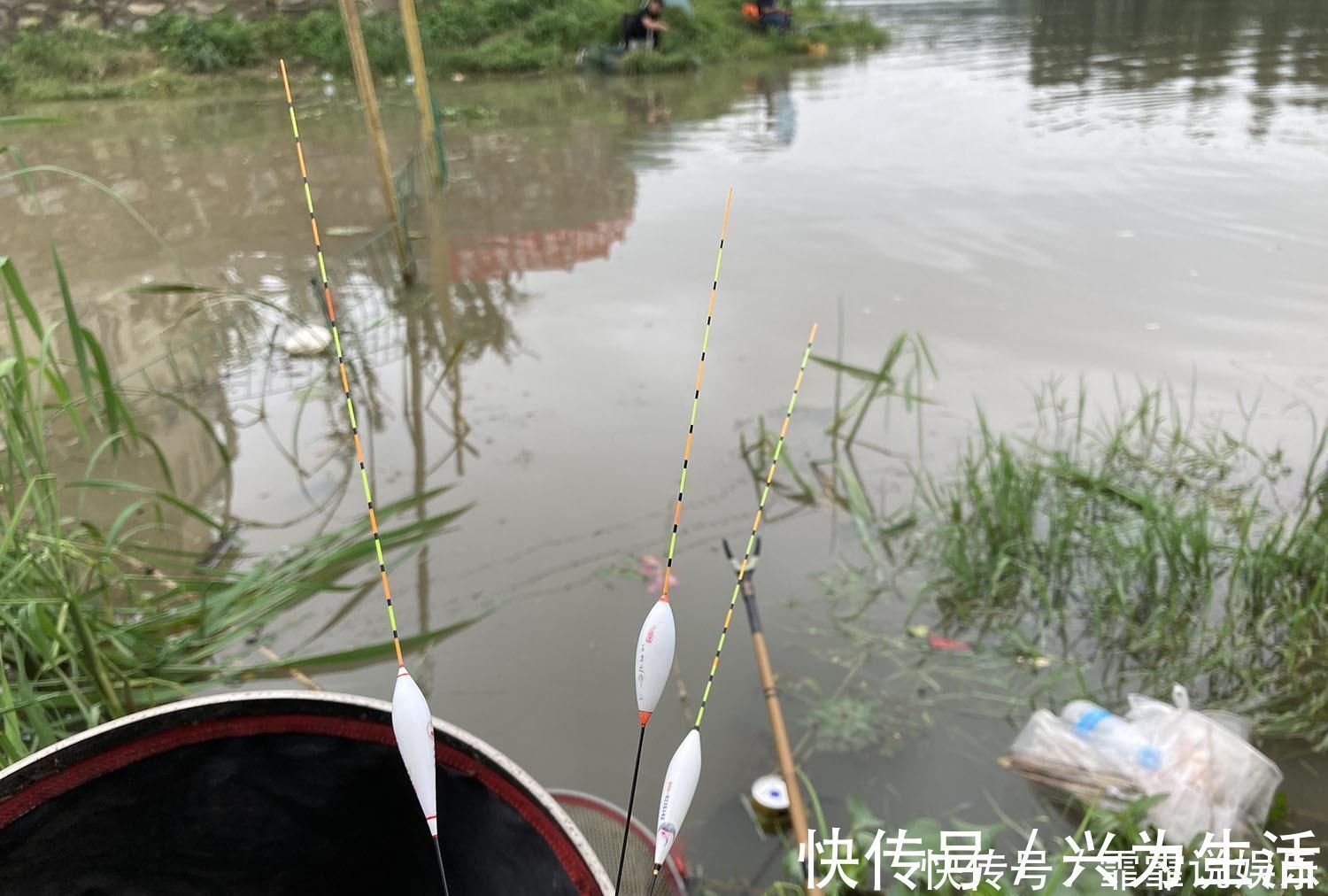 空竿|钓鱼时有口老打不到,会有哪些原因了解后可以帮你避免空竿