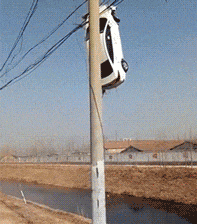 |搞笑GIF: 姜还是老的辣 以后再也不跟老丈人打牌了