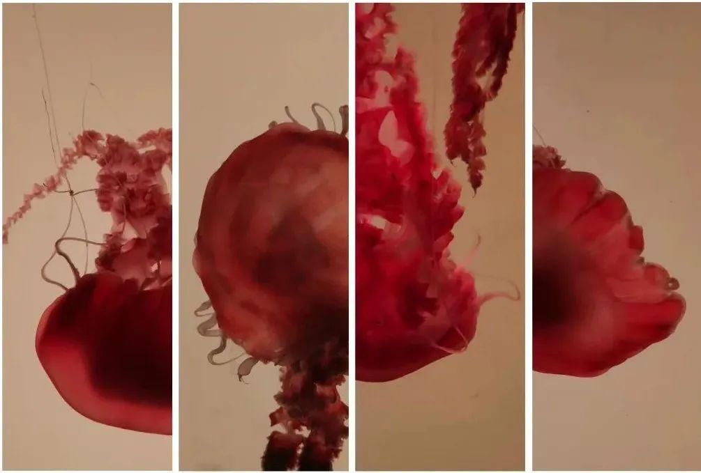  视觉|艺境徜徉——视觉记录