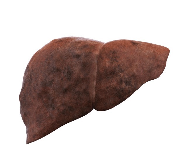 蕨菜|肝不好的人,要尽量少吃的4种“素食”,已为你列出,早做了解吧