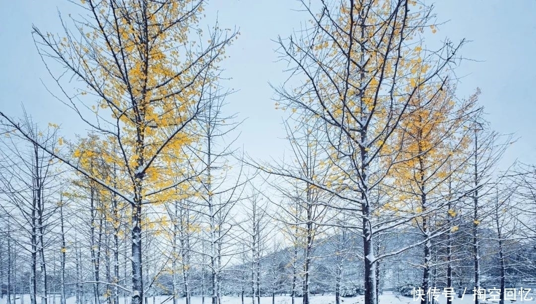 张可久|下雪啦！不读这20句诗词，你就不知道雪有多美