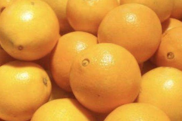 用桔子皮泡脚太厉害了,能缓解一大烦恼,中老