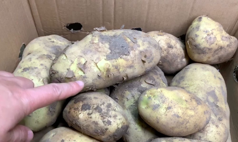 通风处|今天才知道,土豆正确保存方法,放一年都不坏,学会抓紧告诉家人