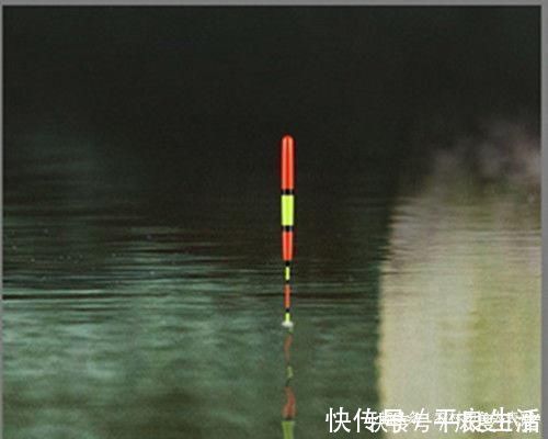 用加粗尾浮漂野钓，调漂不对难上鱼，老钓友解析加粗尾的调钓方法