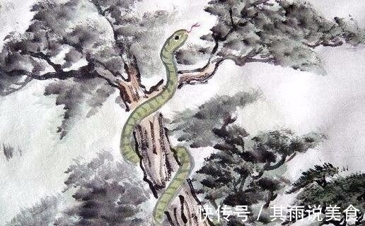 生肖鸡|两口子有几个生肖,一起奋斗,白头偕老,大富大贵,赚钱不愁