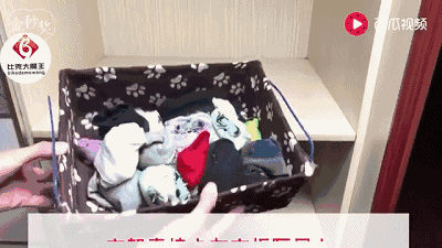 鞋盒里的白布纸原来有这么多用处，今天才知道