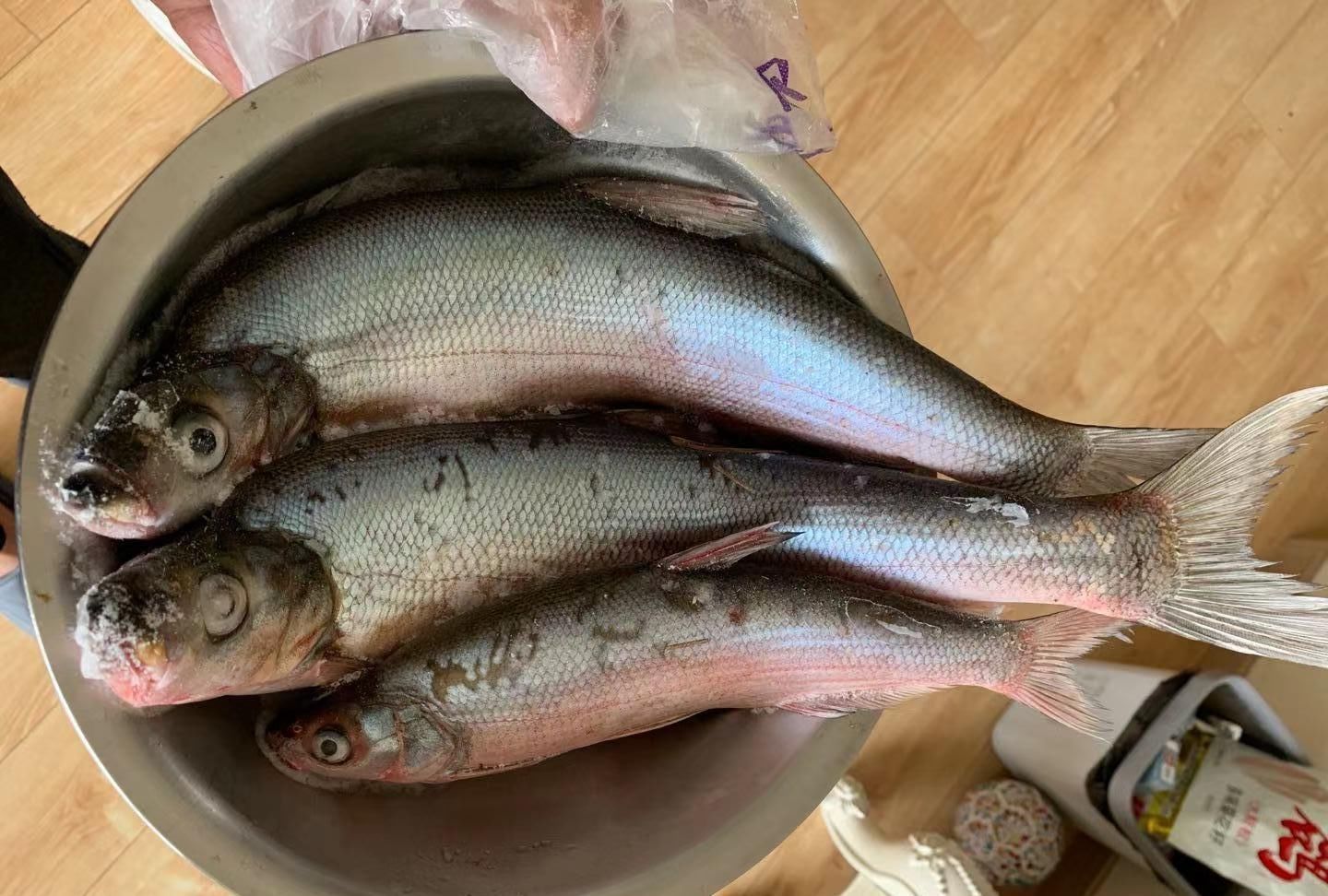 邓大师|邓刚四小时钓获翘嘴百斤,鱼塘主当场撒泼,鱼都不让拿走?