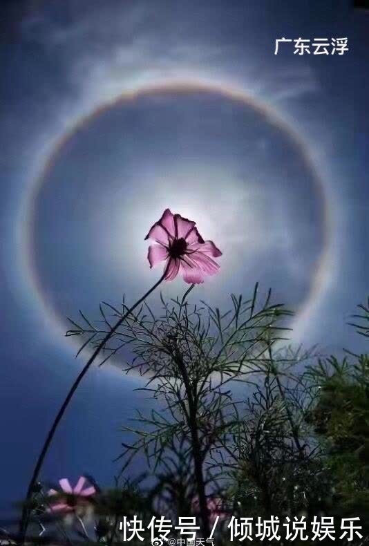 哇哦！全国多地上演日晕奇观