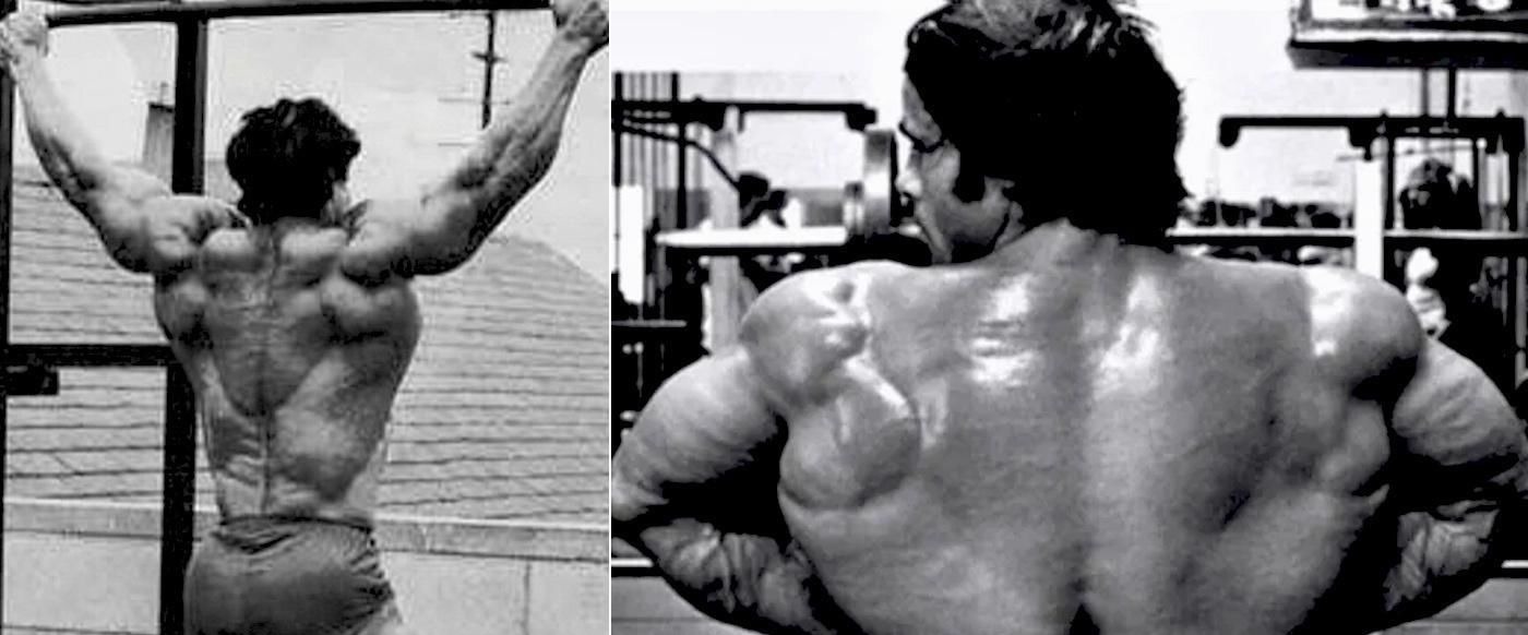 背阔肌|训练背阔肌最好的7个动作,做对了让你的训练效果大不同