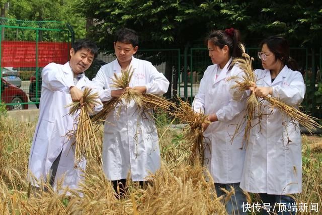 刘怀攀|70后教授带领00后大学生下田割麦 教学生把论文写在田间地头