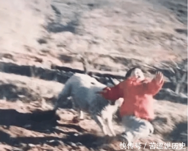 招架|“孙悟空刀枪不入,为什么还用金箍棒招架敌人的武器?”哈哈哈神回复亮了!