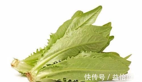 油麦菜|它是天然的“养肝药”,坚持每天吃一点,排毒养肝,一身轻松