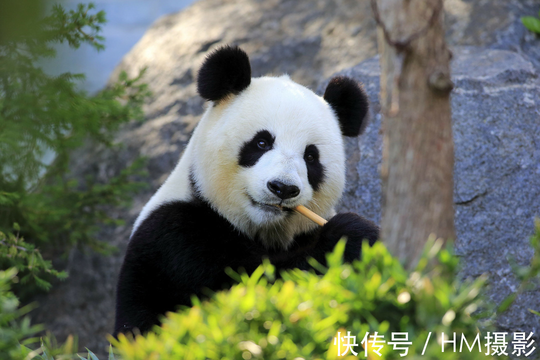 唐卡|亲子营路线推荐！这个夏天，带神兽们去这些地方玩吧