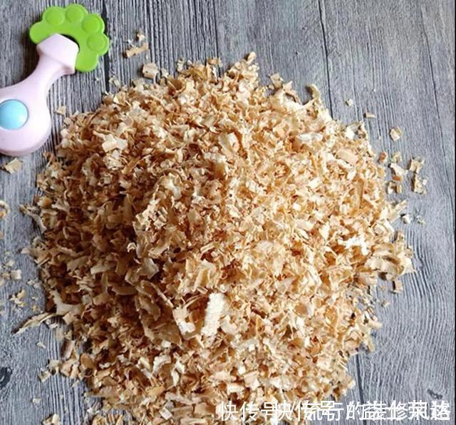 花盆|花盆里垫点底料,根壮叶绿状态好,爆盆真简单