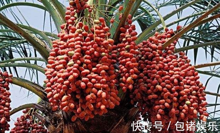 防癌抗癌|女性晚上当零食吃一把,一个月下来,肠胃更健康,气色更红润