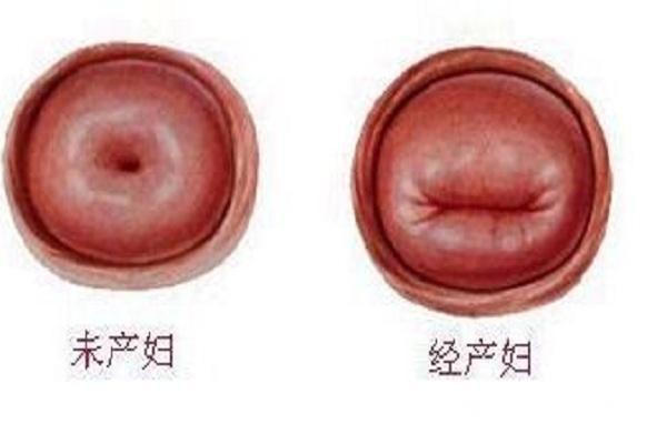 女性|女性生没生过孩子,4个部位会出卖你,想要瞒住不容易