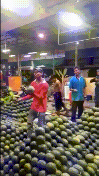 |搞笑GIF:这难道是兵马俑,秦始皇要复活他们吗