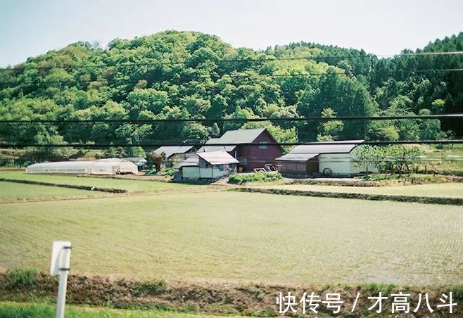 浩然!人善人欺天不欺 (深度好文)