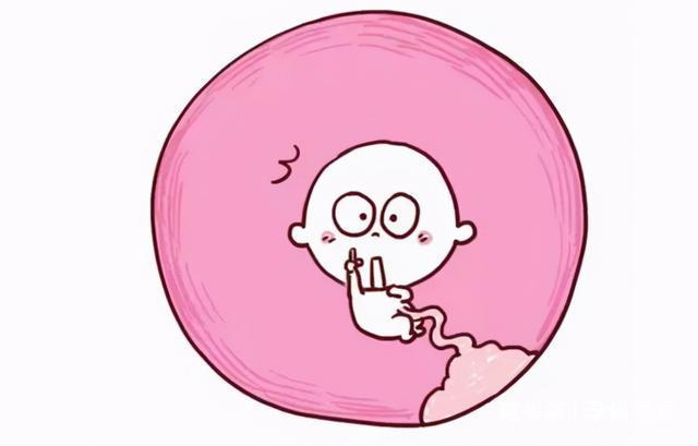 准妈妈|这3种看似危险的孕检B超结果,其实多数问题不大,别自己吓自己