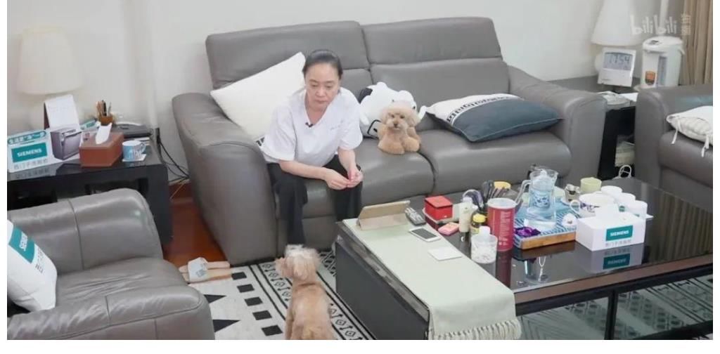 忘不了餐廳|音樂、婚戀之后，B站綜藝能否憑《屋檐之夏》“銀發(fā)”出圈？