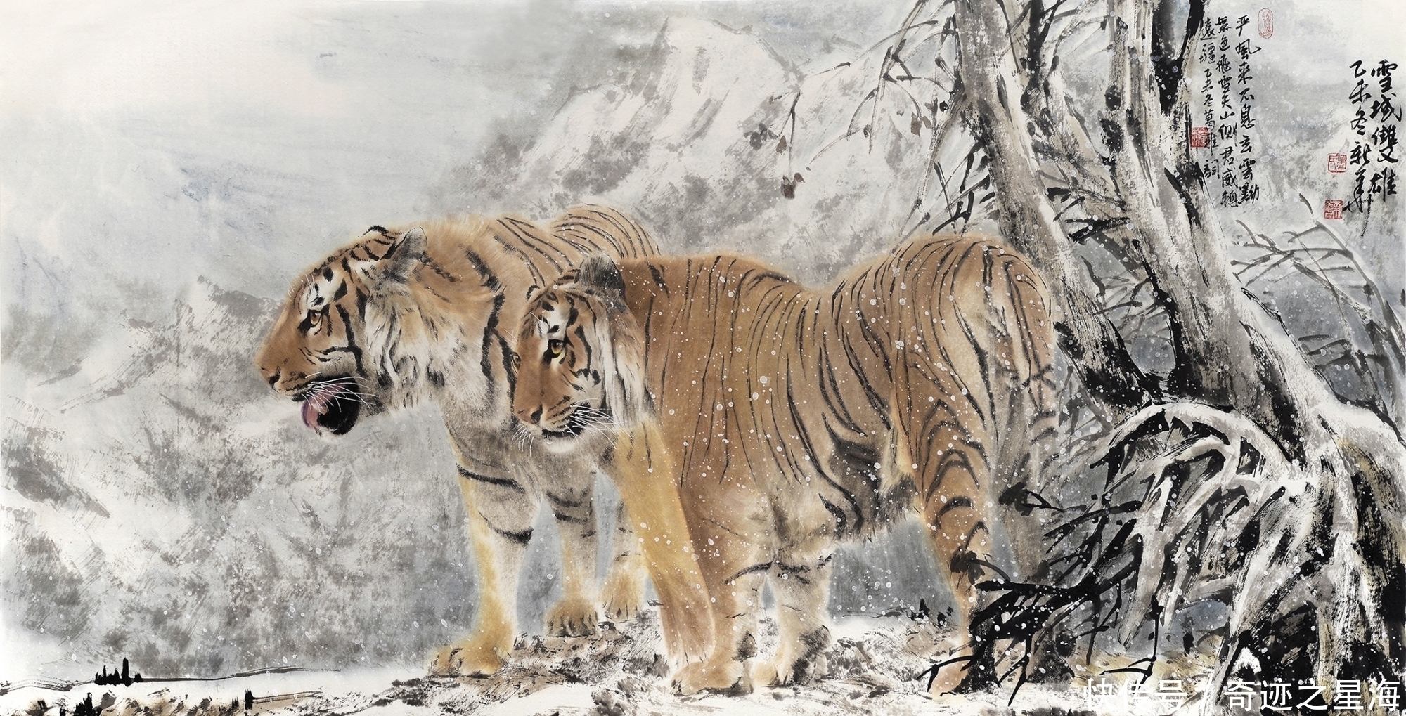 善面|葛新华画虎,善面不失王者风范,柔和不失王者之威