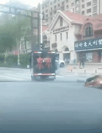 |搞笑GIF：逛街遇到的妹子，个子这么高我该怎么搭讪啊