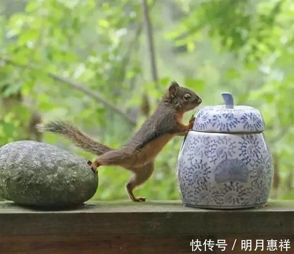 李小布 我在银河系摆渡,太阳系抛锚,不小心投影到了地球,于是遇到了你