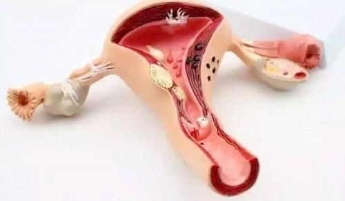 第一产程|胎儿那么大,怎么就从那个小口出来了,看完泪奔:妈妈太伟大了