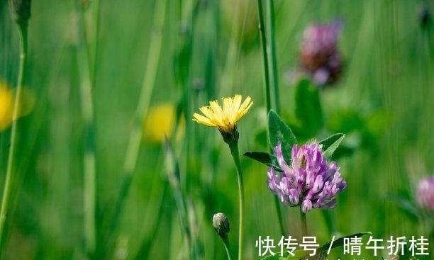 旧爱|往后7天,无尽轮回,互不打扰,牵手旧爱,彼此幸福