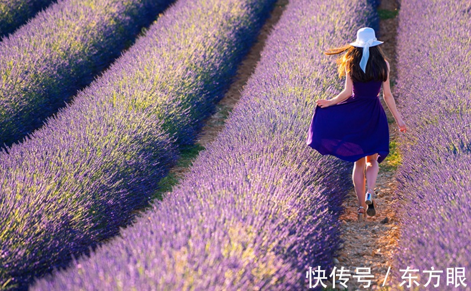 落霞与孤鹜齐飞&人为什么要读书?这25句话,就是最好的回答