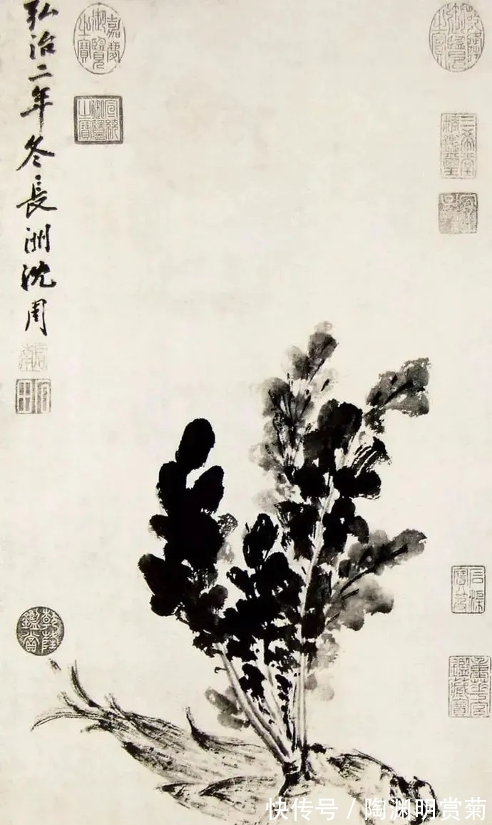 夜静#月落星稀到天明,夜凉如水露晶莹