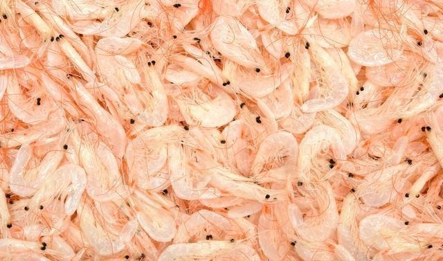 买虾皮时,选白色的还是浅红色的?渔民告诉你答案,买错了多花钱