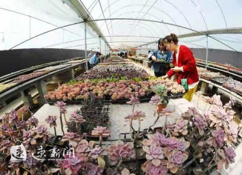 电商|物流提速增效 电商提前备货 沭阳：政企总动员迎战“双十一”