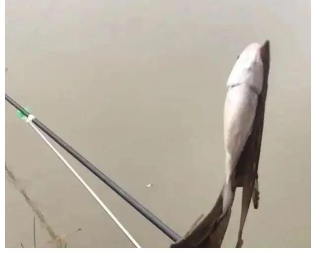 除了钓不到鱼，啥都能钓到！盘点那些年钓到过的奇葩物