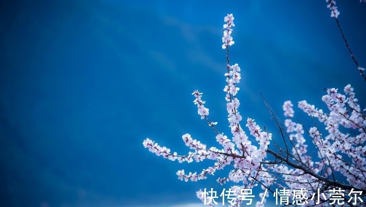 硕士|硕士毕业四十岁下岗,转行开滴滴,普通人的痛只能自己默默承受!