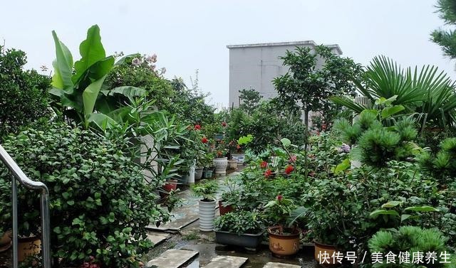 楼顶养花,做好3件事,否则空中花园变“空中危楼”!