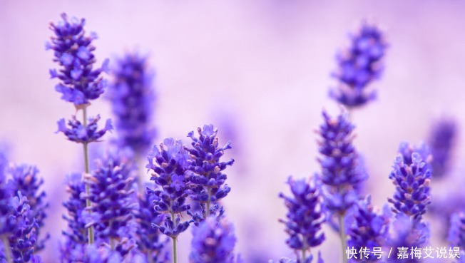 千古冯夫人:侍女出身的女外交家,一人化解一国内乱