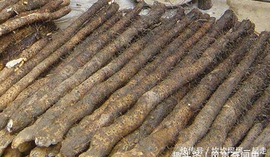 山药|买山药时,这3种一定不能买,可惜很少人知道,赶快告诉家里人