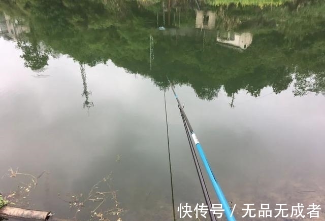 光水钓鲫鱼那点事儿,用长竿太累,但能比别人钓得更多