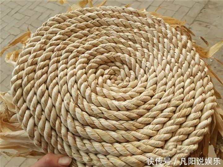 玉米棒子扔盆里,洒点水就发芽了,7天长一把绿苗!