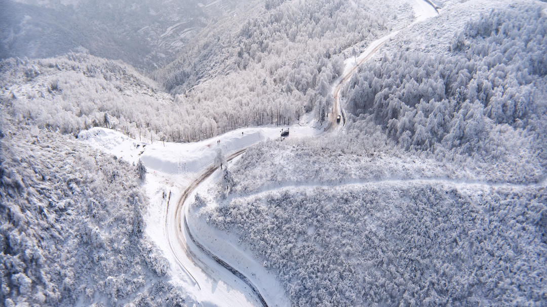 嵊州|嵊州这里有个林海雪原