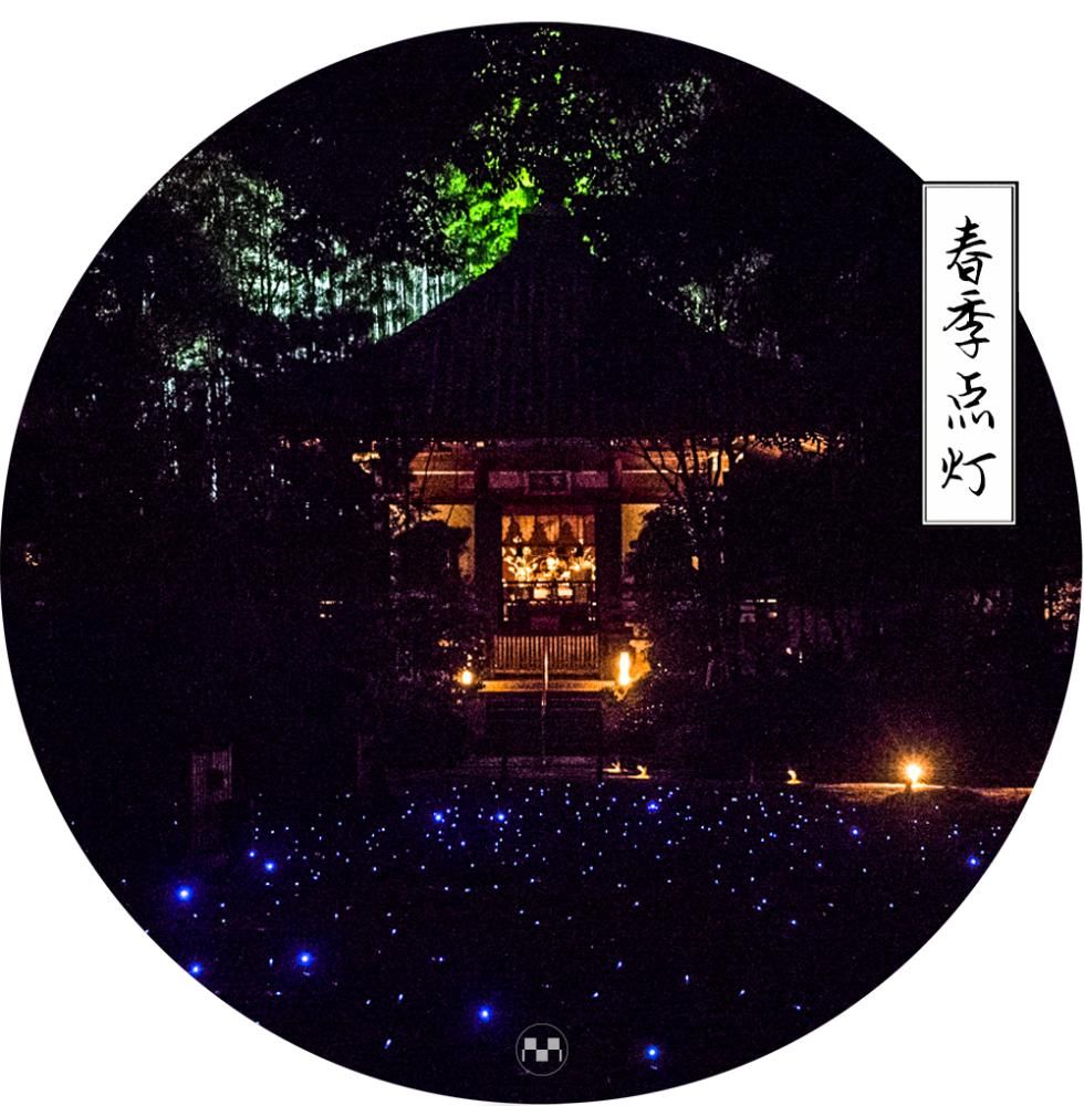 缪斯|青莲院:皇室贵族的修行圣地,文人画家的灵感缪斯