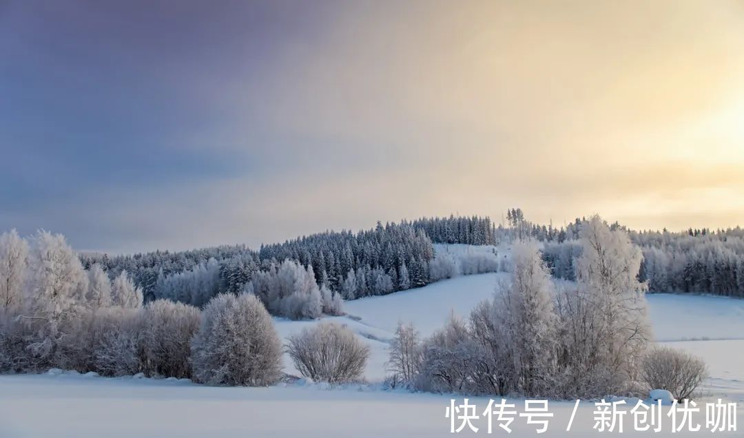 月老|2月底，月老眷顾，桃花并蒂，将得遇真爱，相爱相守的三个星座