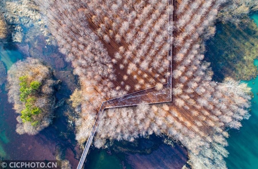 江苏淮安：天然氧吧古淮河国家湿地公园