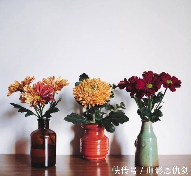 人生|值得收藏一辈子的好句子，经典睿智，句句获益！