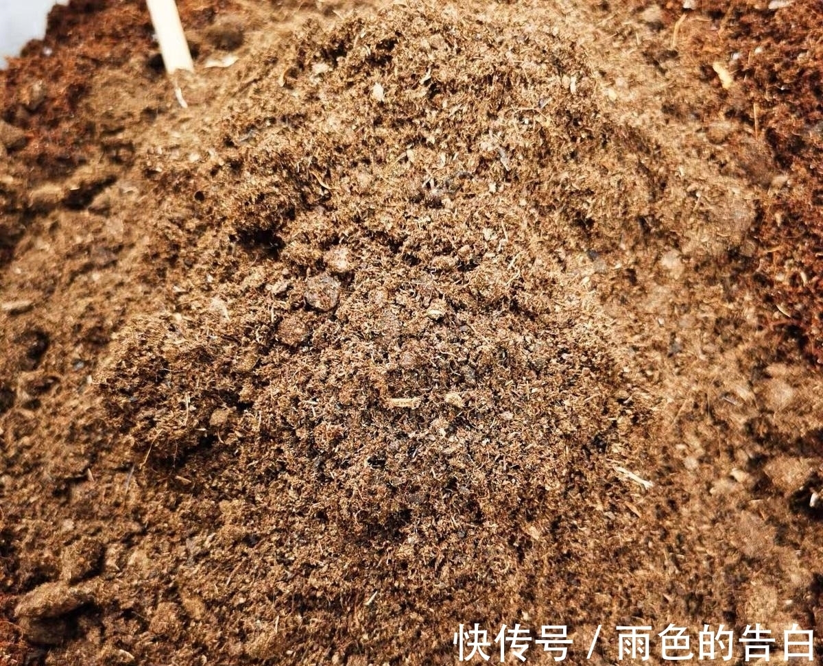 养多肉必备营养土,6种土,多肉常用,了解作用以及使用方式