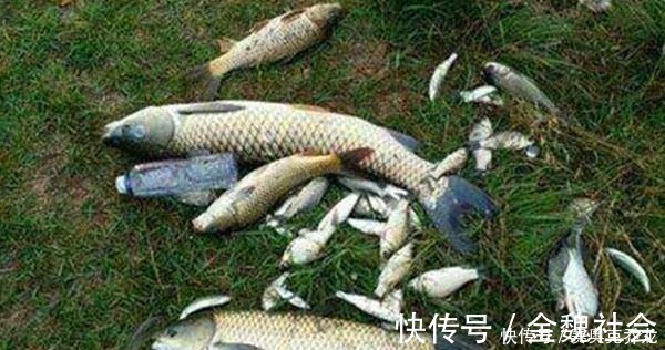 窝点|钓鱼技巧:鲜为人知的钓鱼冷知识,看似没用,其实影响了渔获量