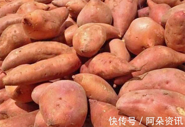紅薯|“紅薯”補氣血防癌助長壽，警告：2大“禁忌”要牢記，亂吃致病