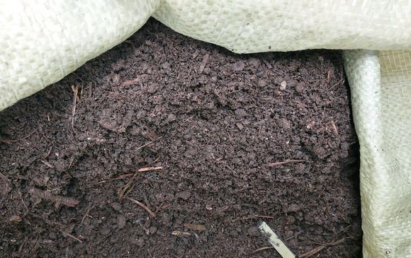 花草|养花“不买”营养土,回家找“4种料”掺一掺,养啥花都旺爆盆
