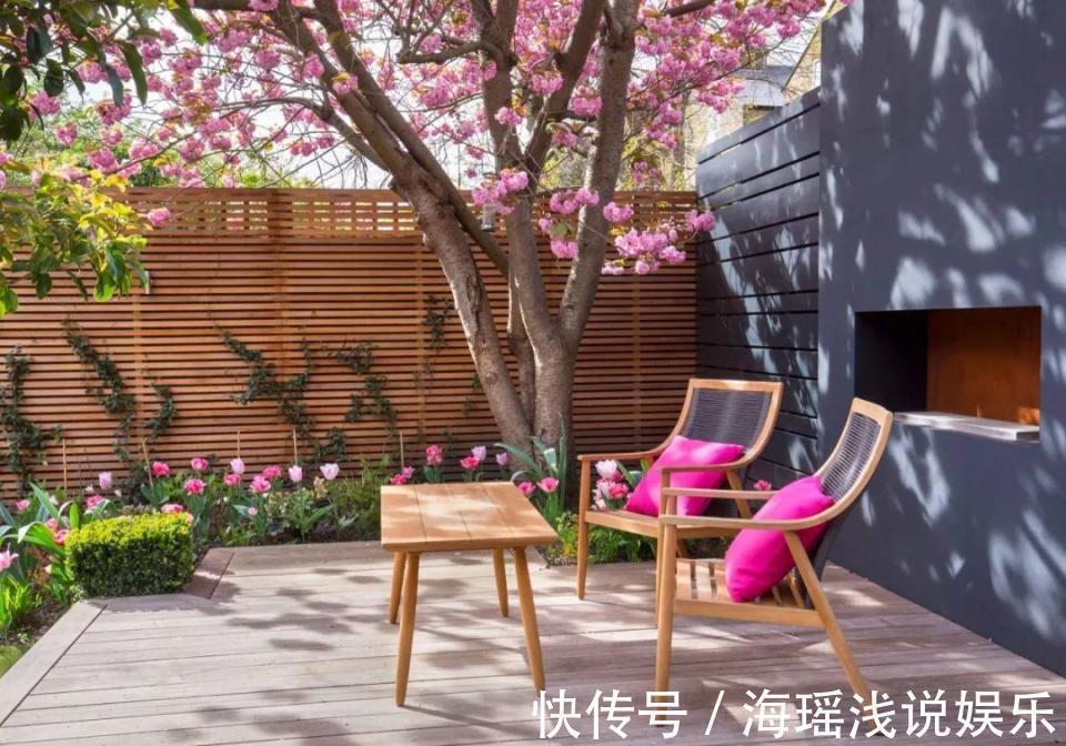 邻居的院子夏日几乎没“蚊虫”,原来是因为养了3种花,我也要养